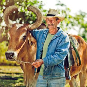otros-destinos-america-cuba-viajes-cau-cau