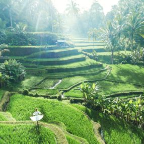 Otros-destinos-asia-indonesia-viajes-cau-cau