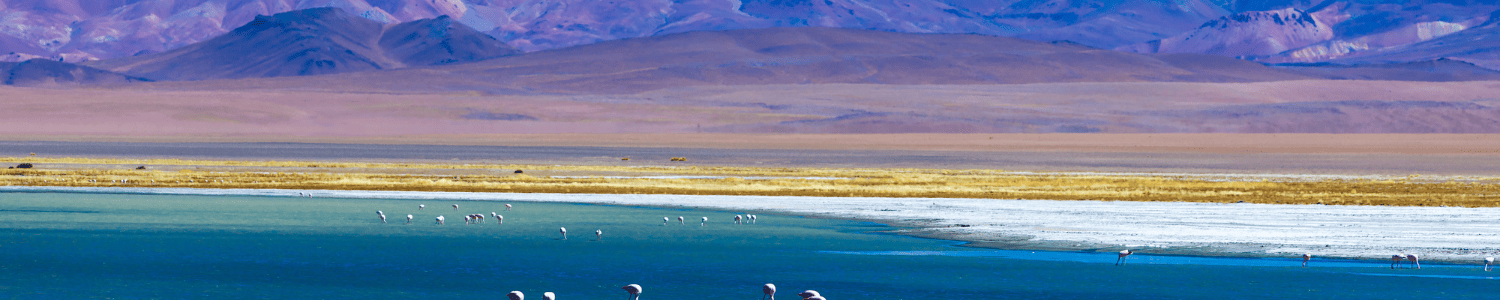 chile-desierto-de atacama-laguna-viajes-cau-cau
