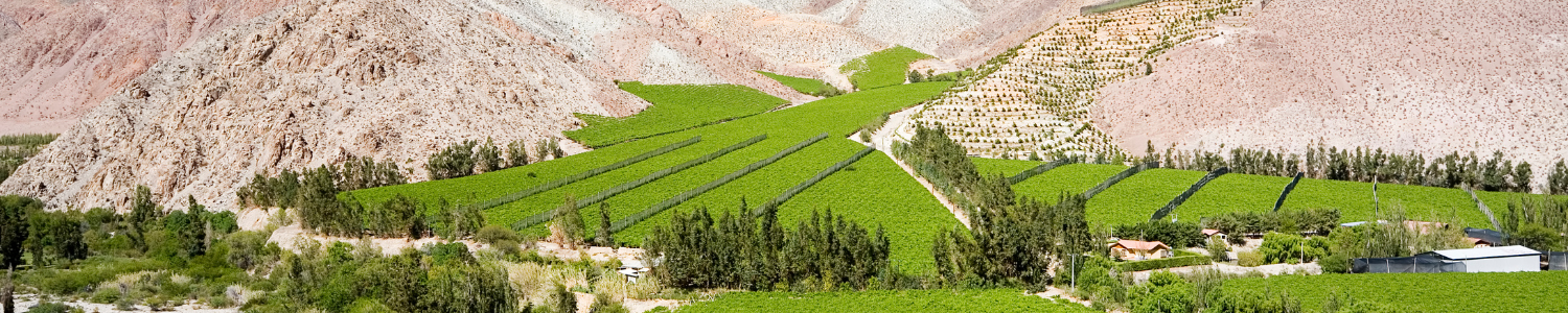 chile-blog-valle-del-elqui-viajes-cau-cau
