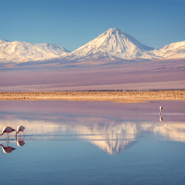 Chile-torres-del-paine-salares-viajes-cau-cau