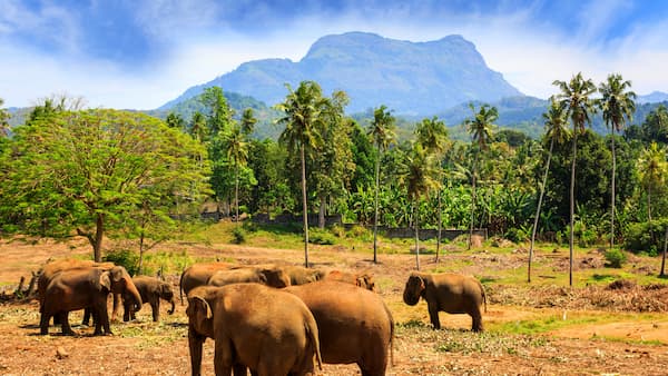 sri-lanka-parque-nacional-de-yala-viajes-cau-cau